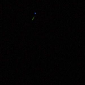 Meet your Posher, Steve